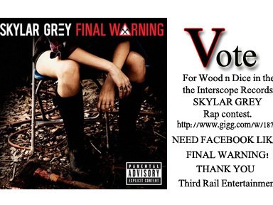 SKYLAR GREY feat. WOOD N DICE