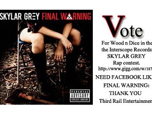 SKYLAR GREY feat. WOOD N DICE