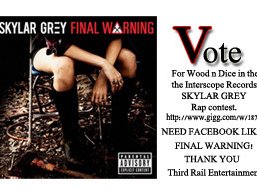 SKYLAR GREY feat. WOOD N DICE