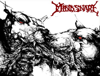 MindSnare photo
