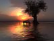 Listen to the melodic piano notes, and love