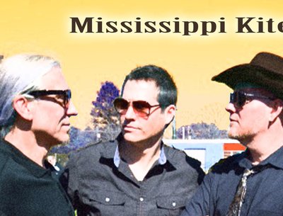 Mississippi Kites