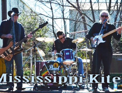 Mississippi Kites photo