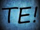 TE! Logo