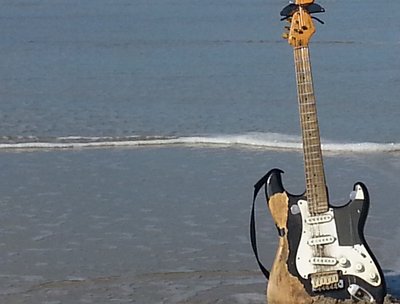 Surfs up dude!