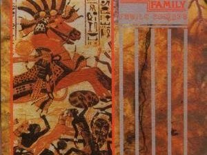 Futile combat Cover 1985