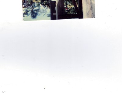 llylo photo