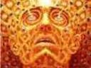 LSD