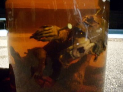 Voices of the Dead photo