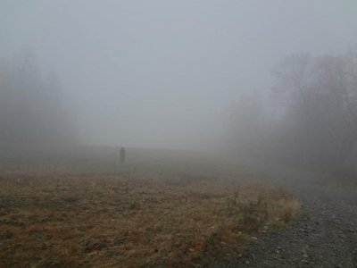 Voices of the Dead photo