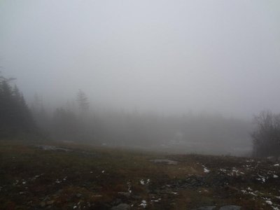 Voices of the Dead photo