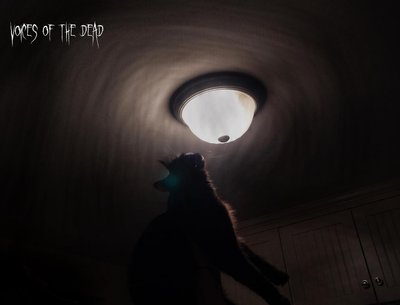 Voices of the Dead photo
