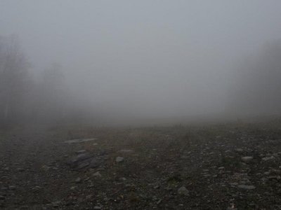 Voices of the Dead photo