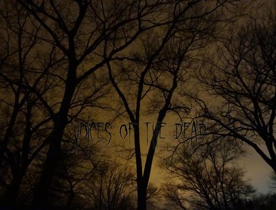 Voices of the Dead photo