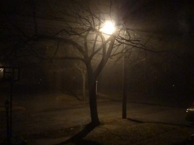 Voices of the Dead photo