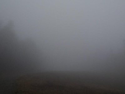 Voices of the Dead photo