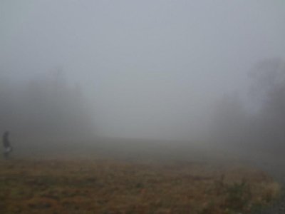 Voices of the Dead photo