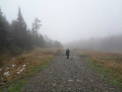 Voices of the Dead photo