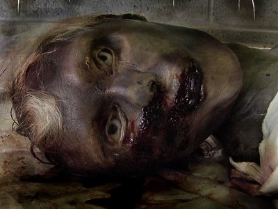 Voices of the Dead photo