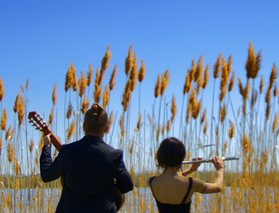 Duo Beija-Flor photo