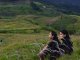 to the highest peak