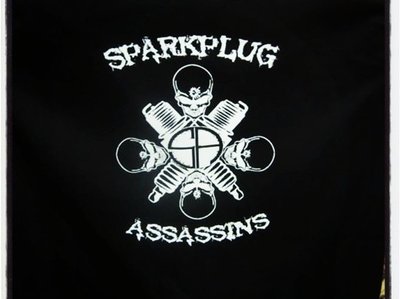 Sparkplug skulls logo