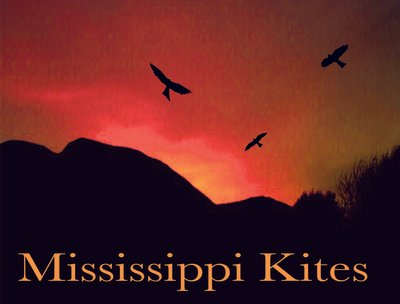 Mississippi Kites photo