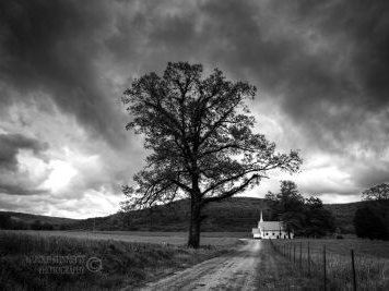 Edgar Allen Lee photo