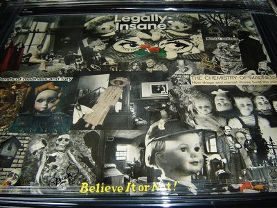 16" x 20" Insanity Collage (professionally framed)