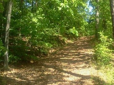 Middle of Nowhere photo