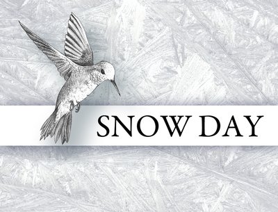 SNOW DAY album cover