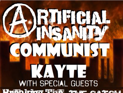 Artificial Insanity photo