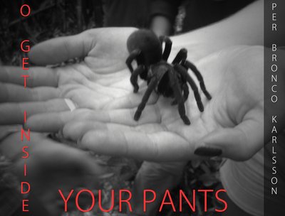 To get inside your pants by Per Bronco Karlsson. One Single Release 2013