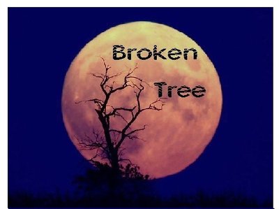Broken Tree, title song for new CD