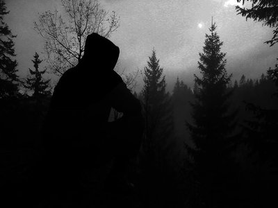 The Dark Nature