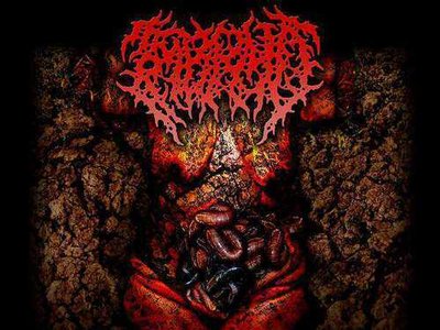 Embryo (INA) photo