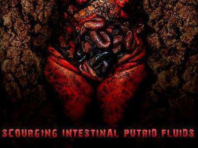 Embryo (INA) photo