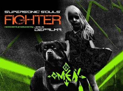 SUPERSONIC SOULS FIGHTER photo