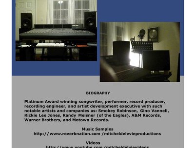 Delevie Studio brochure 2013 