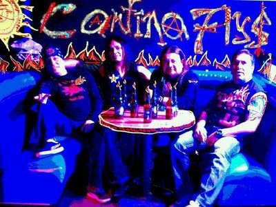 CANTINA FLYS photo