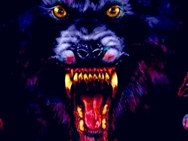 BAD DOG BAD