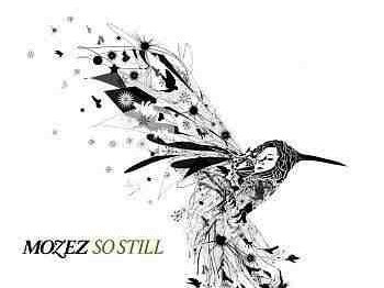 Mozez photo