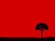 i love trees