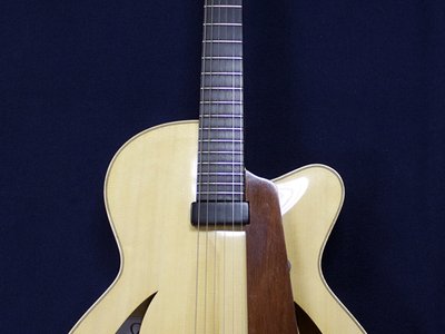 Vince Lewis Signature Model Ralston Guitar