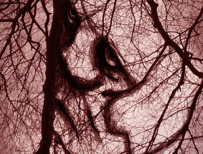 Shadowflag photo