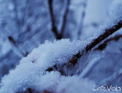 CrisVola photo