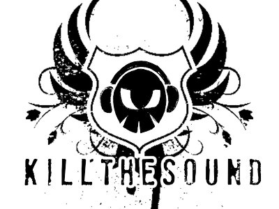 Kill The Sound photo