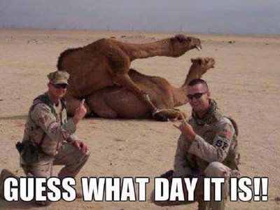 Have a great one!! \m/