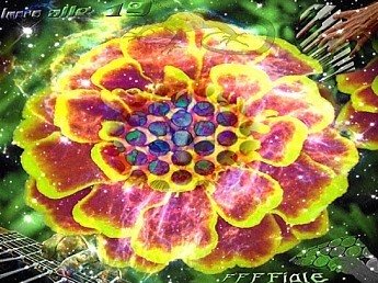 F.F.F. Fiale photo