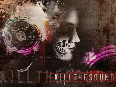 Kill The Sound photo